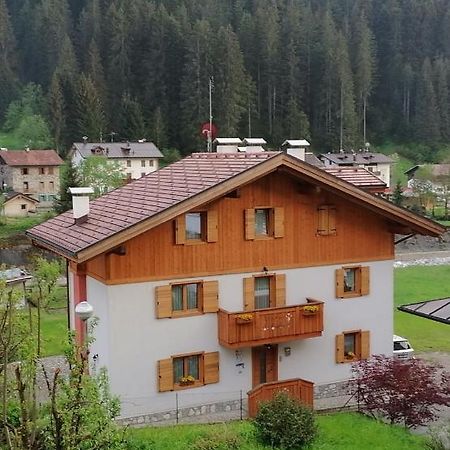 B&B Il Tulipano San Pietro di Cadore Bagian luar foto