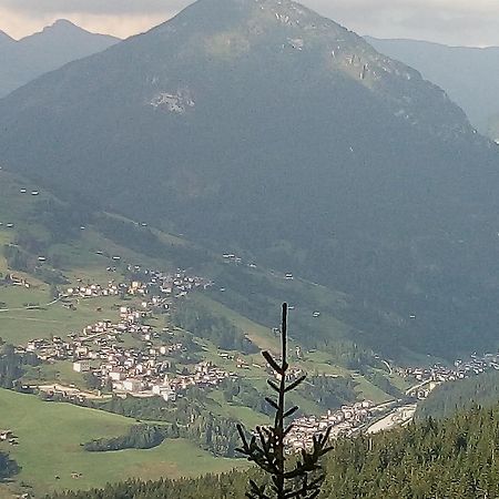 B&B Il Tulipano San Pietro di Cadore Bagian luar foto