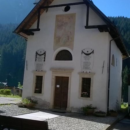 B&B Il Tulipano San Pietro di Cadore Bagian luar foto