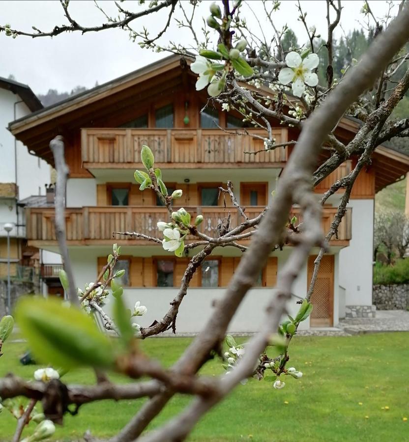 B&B Il Tulipano San Pietro di Cadore Bagian luar foto
