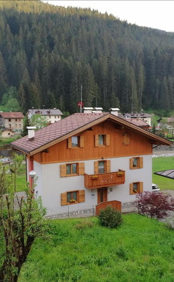 B&B Il Tulipano San Pietro di Cadore Bagian luar foto