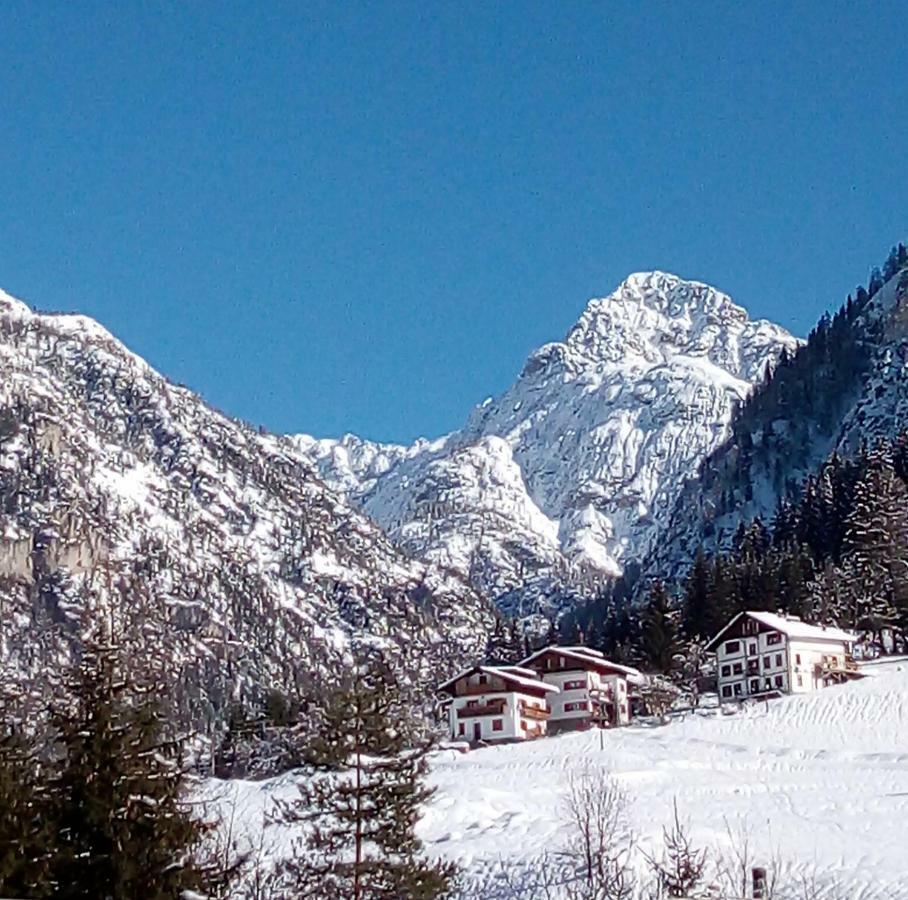 B&B Il Tulipano San Pietro di Cadore Bagian luar foto