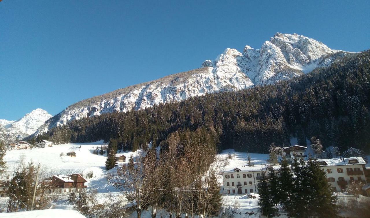 B&B Il Tulipano San Pietro di Cadore Bagian luar foto