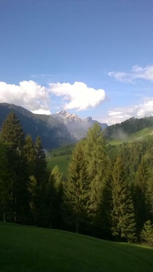 B&B Il Tulipano San Pietro di Cadore Bagian luar foto