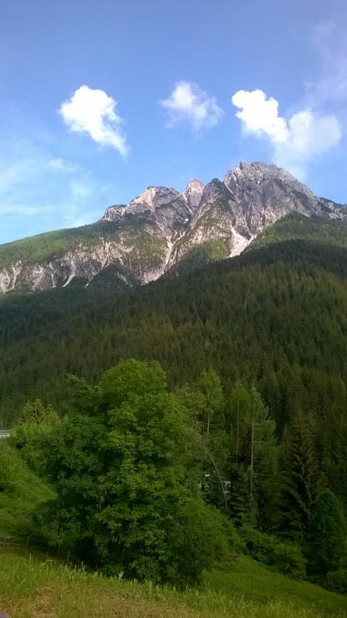 B&B Il Tulipano San Pietro di Cadore Bagian luar foto