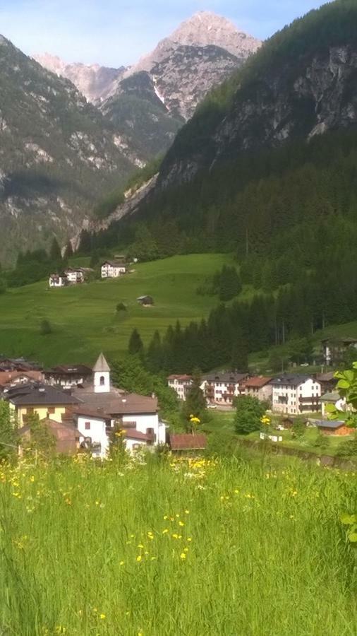 B&B Il Tulipano San Pietro di Cadore Bagian luar foto