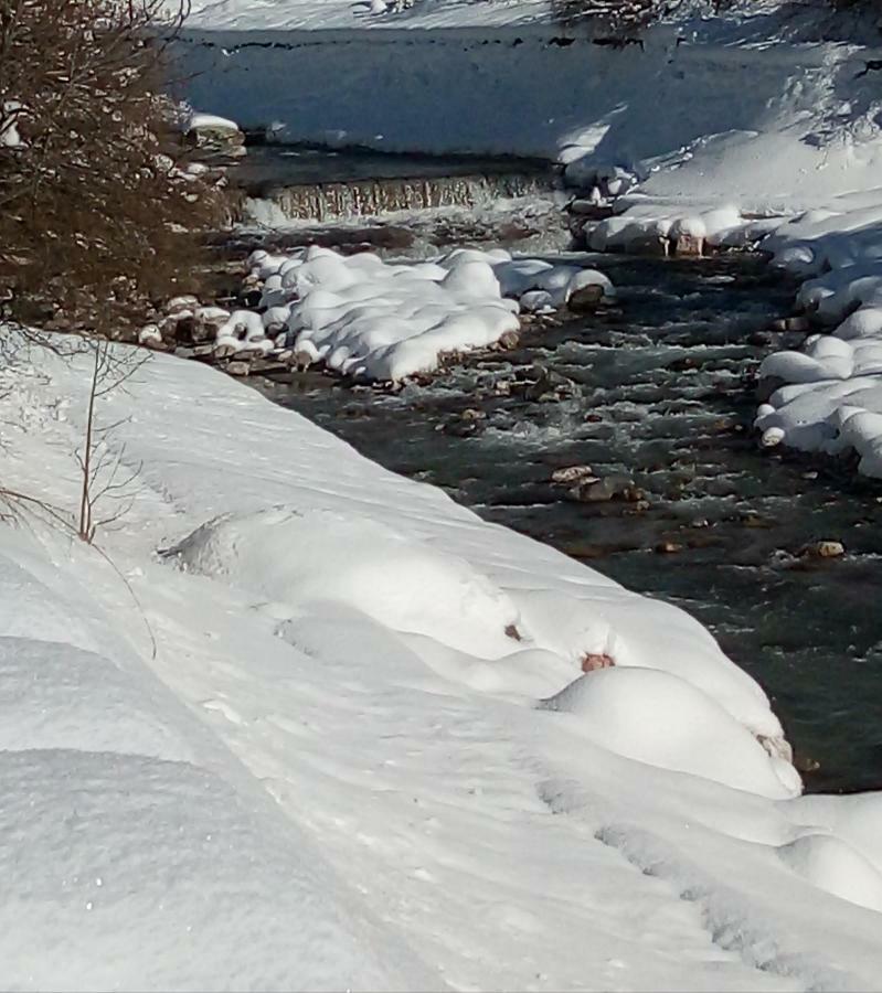 B&B Il Tulipano San Pietro di Cadore Bagian luar foto